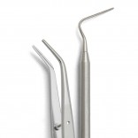 Endodontics